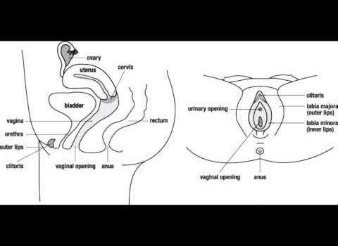 best of Pictures orgasm positions Sex