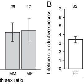 best of Probability Sex of twins